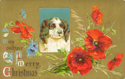 Victorian Christmas Greeting Card with Spaniel Portrait & Poppies