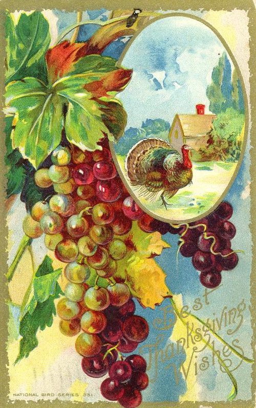 Vintage Best Wishes Greeting Card with Turkey & Grapes