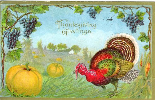 Vintage Thanksgiving Greetings Card Turkey Harvest Grapes