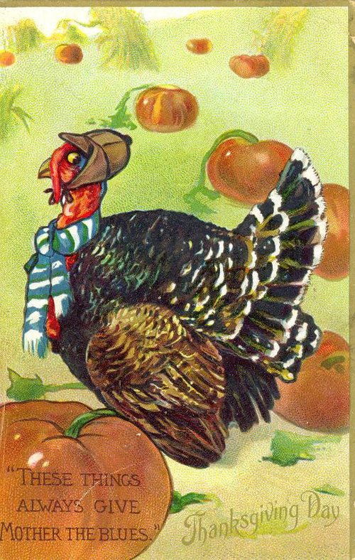 Vintage Thanksgiving Turkey Greeting Card with Pumpkins and Apples