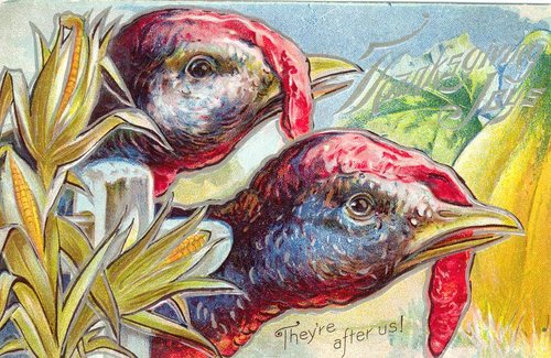 Vintage Turkeys Corn Thanksgiving Greeting Card Victorian Era