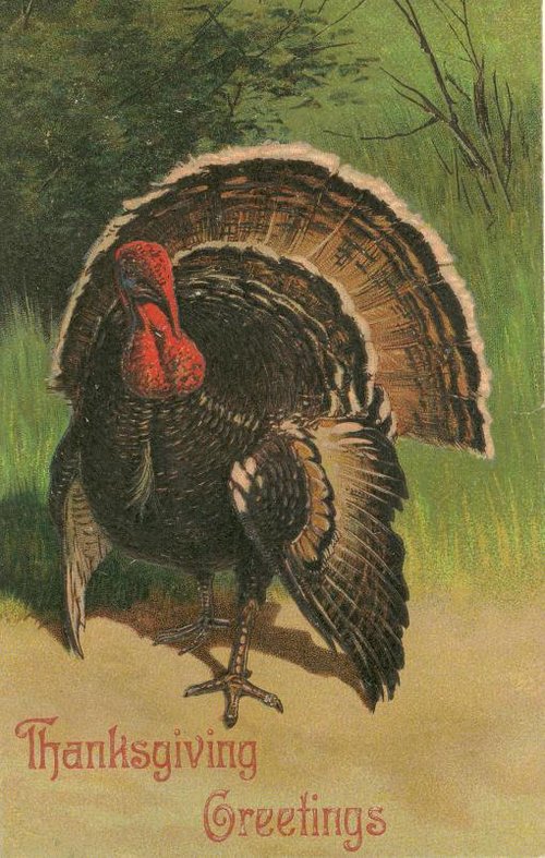 Vintage Thanksgiving Turkey Greeting Card - Victorian Era