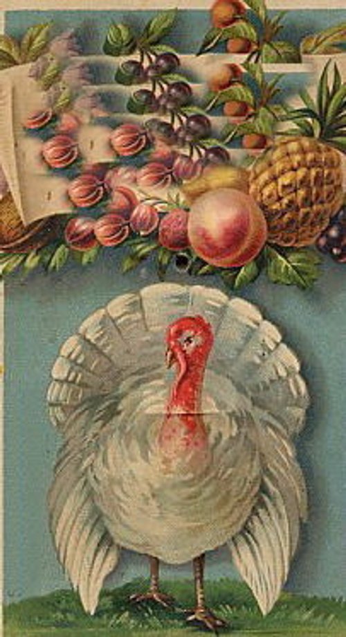 Victorian Turkey Thanksgiving Card with Fruit Harvest