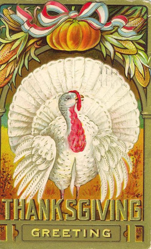 Vintage Thanksgiving White Turkey Greeting Card | Early 1900s