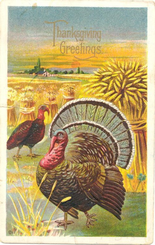 Vintage Thanksgiving Greetings Card with Turkey & Harvest Scene
