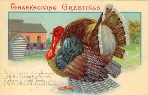 Vintage Thanksgiving Greetings Card with Turkey Farm Scene