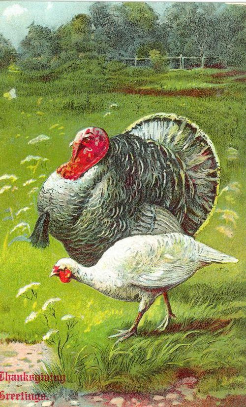 Victorian Thanksgiving Turkey Greeting Card, 1890s-1900s
