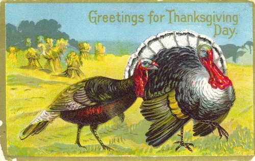 Vintage Thanksgiving Greeting Card with Wild Turkey - Early 1900s