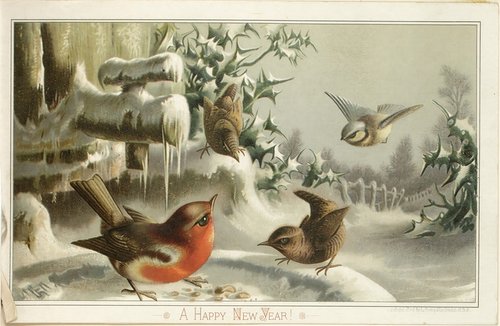 Victorian New Year Greeting Card with Robins in Snow