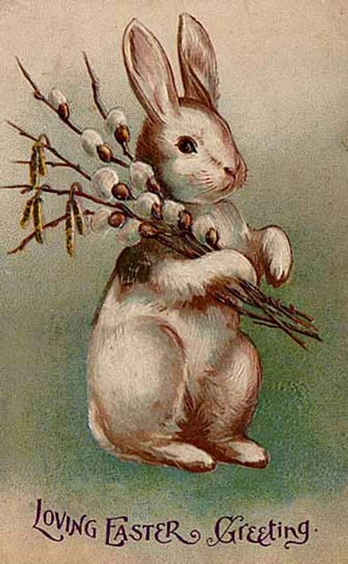 Vintage Easter Greeting Card with Bunny & Pussy Willows