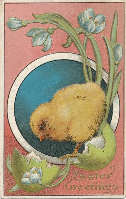 Vintage Easter Greetings Card with Chick and Flowers