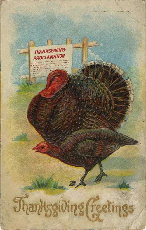 Vintage Thanksgiving Proclamation Turkey Card, Early 1900s