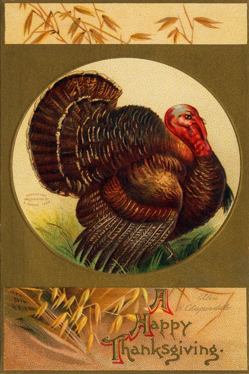 Vintage Happy Thanksgiving Turkey Greeting Card