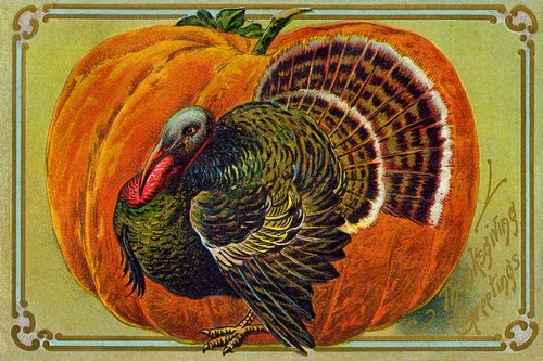 Vintage Thanksgiving Turkey & Pumpkin Greeting Card