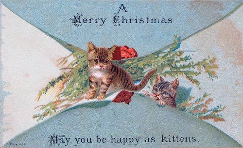 Victorian Christmas Card with Playful Kittens & Evergreen Branches