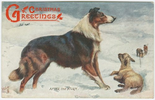 Edwardian Christmas Postcard Collie Dog Puppy Snow Scene 1900s