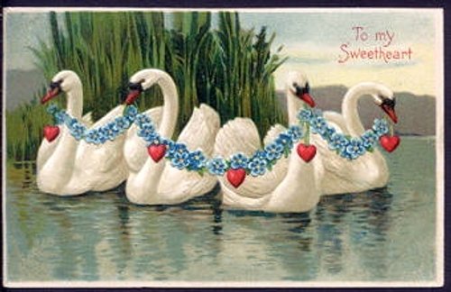 Edwardian Valentine Swans with Floral Garlands Vintage Greeting Card