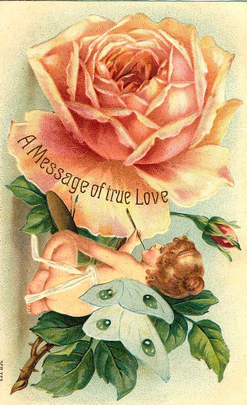 Victorian Love Message Rose Greeting Card Cherub Cupid
