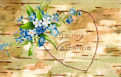 Vintage Valentine Forget-Me-Nots Birch Bark Love Card