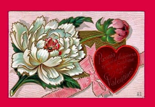 Victorian Valentine's Day Greeting Card with White Peony