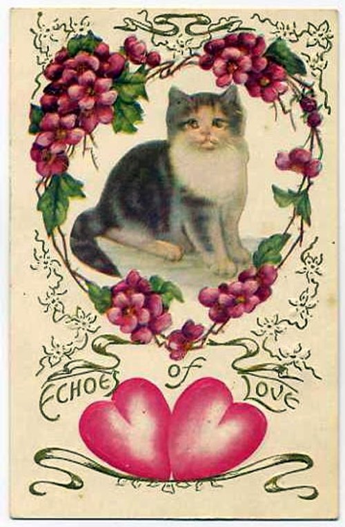 Victorian Cat Valentine Greeting Card with Pink Flowers