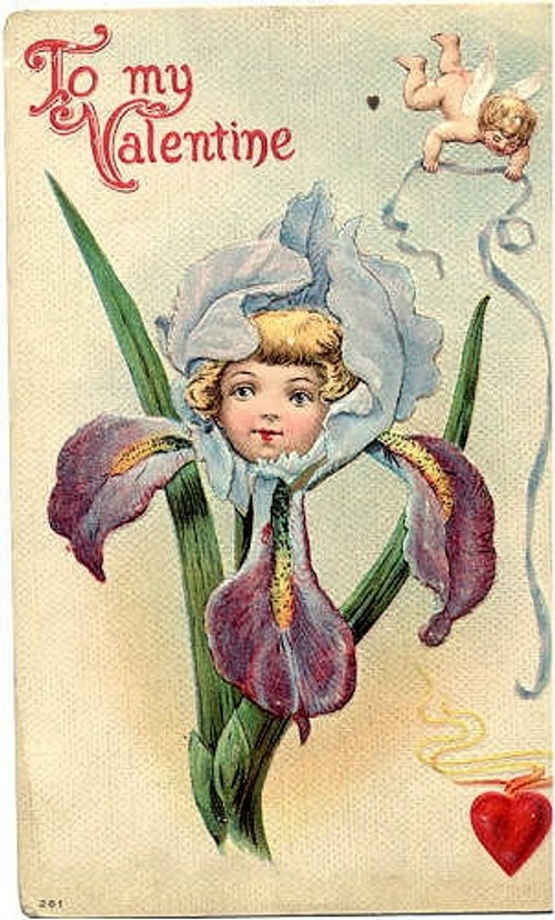 Victorian Valentine Card with Cherub Iris Flower 1890s