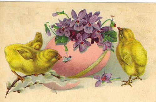 Victorian Easter Chicks Pink Egg Violet Flowers Greeting Card