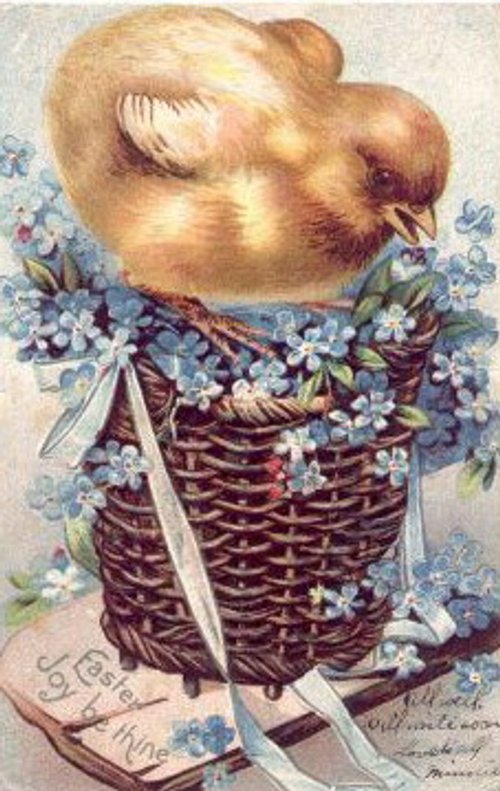 Victorian Easter Chick in Basket - Vintage Greeting Card