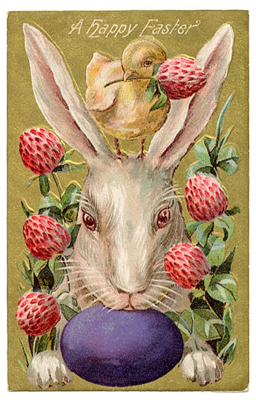 Vintage Easter Bunny Strawberries Greeting Card