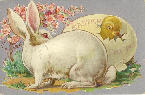 Vintage Easter Greeting Card with White Rabbit & Chick