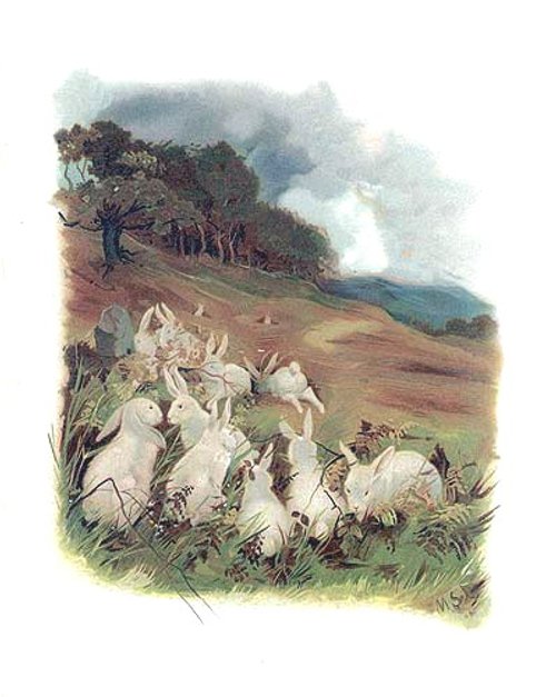 Victorian Pastoral Landscape with White Rabbits on a Hillside