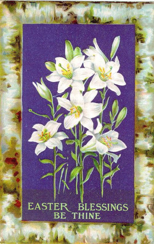 Vintage Easter Greeting Card - White Lilies Purple Background