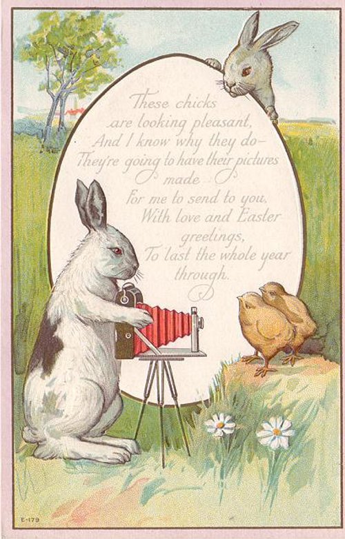 Vintage Easter Card with Rabbit Photographer - Early 1900s