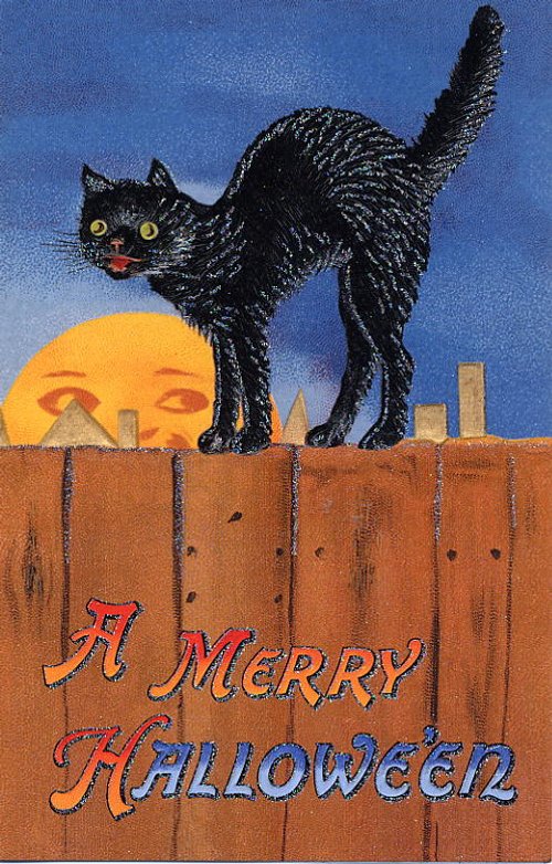 Vintage Halloween Black Cat Greeting Card, Early 1900s