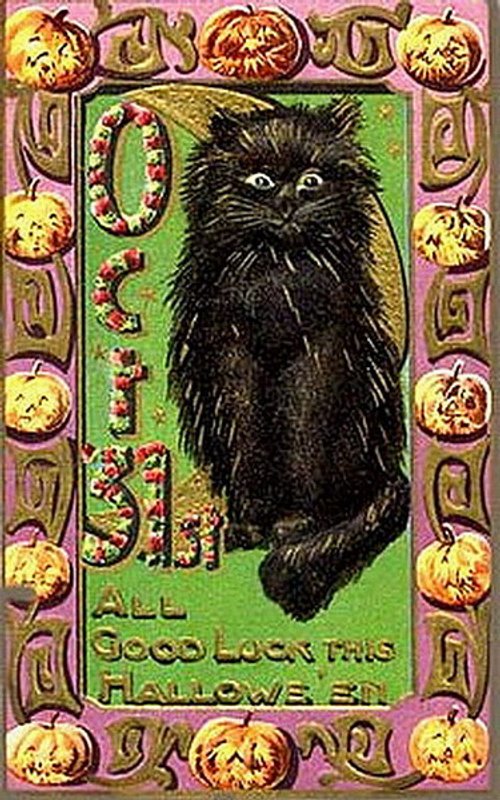 Vintage Black Cat Halloween Greeting Card, Early 1900s