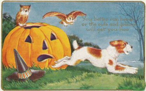Vintage Halloween Greeting Card: Jack O'Lantern with Dog & Owls
