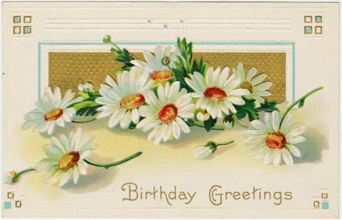 Victorian Birthday Greetings Card with White Daisies - Antique
